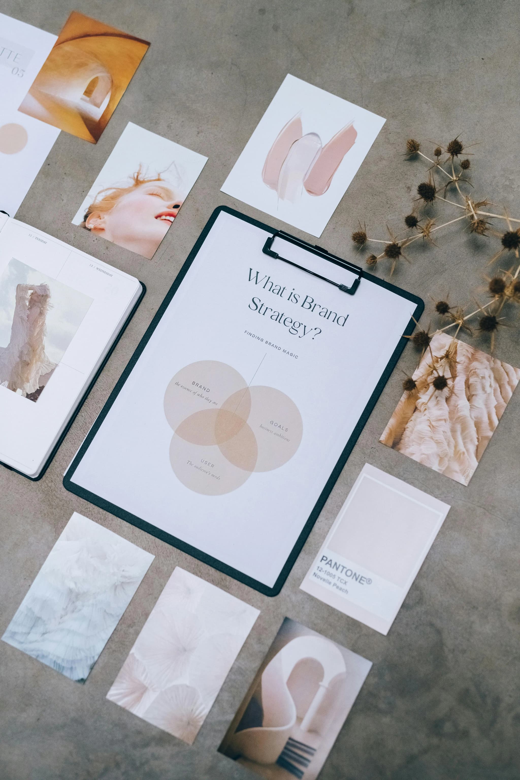 Branding & Brand Design project by Levaras Studio